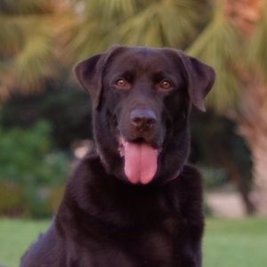 Meet your Posher, Kin